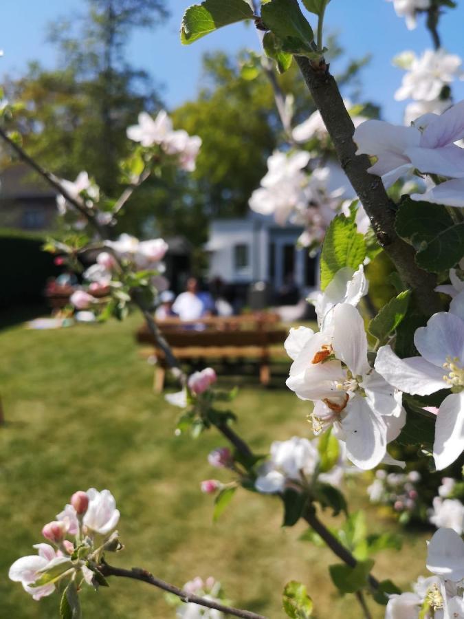 B&B De Koffietuin Beekbergen Zewnętrze zdjęcie