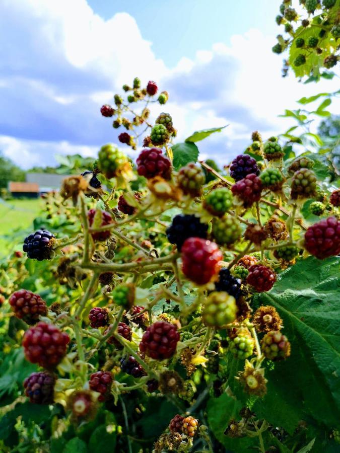 B&B De Koffietuin Beekbergen Zewnętrze zdjęcie